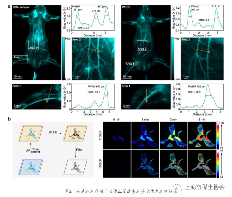 上海交大李万万研究员团队在超宽带响应近红外二区荧光纳米探针领域取得重要进展